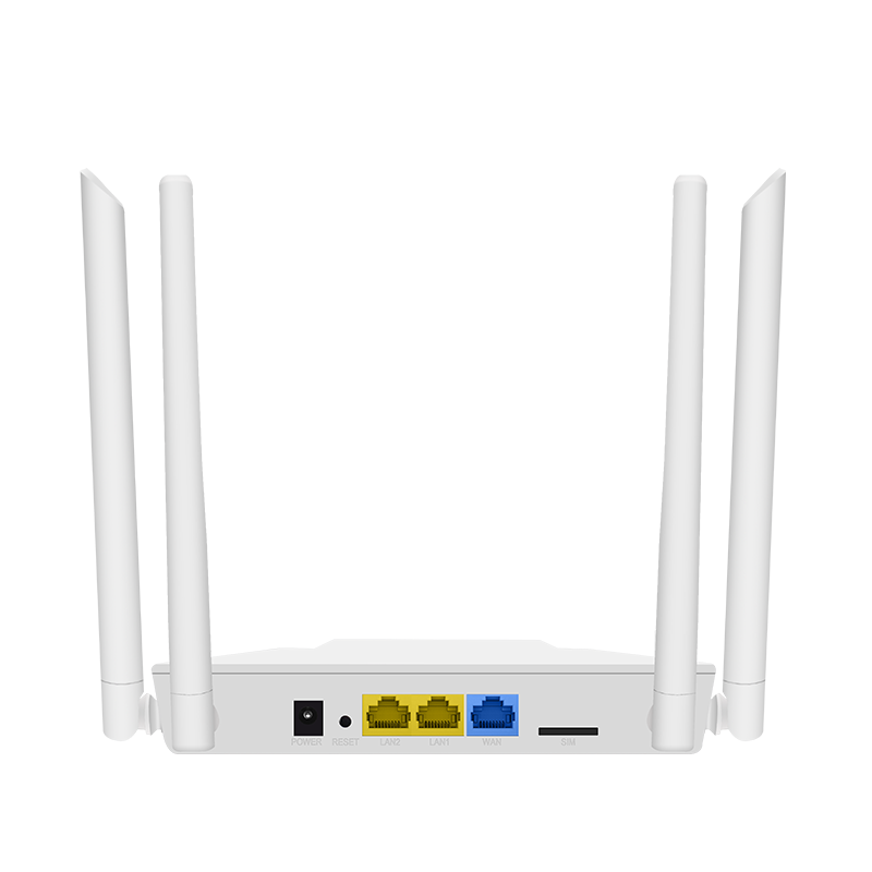 WI-LTE300 (V2)